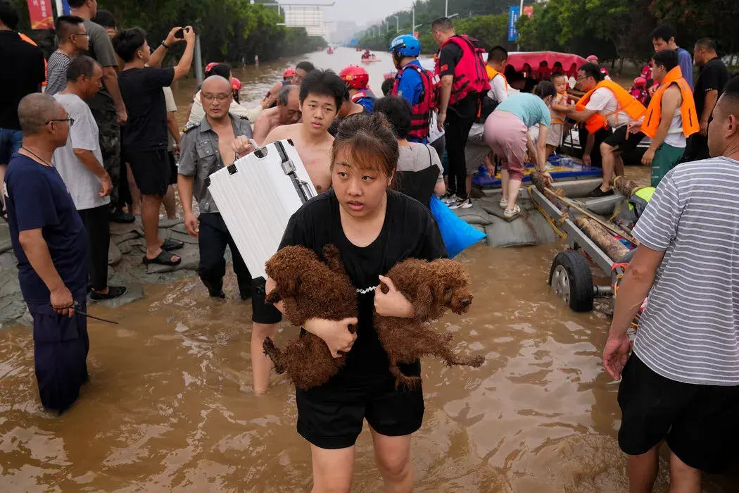 涿州居民撤离时，一名妇女抱着宠物狗。 Andy Wong/Associated Press